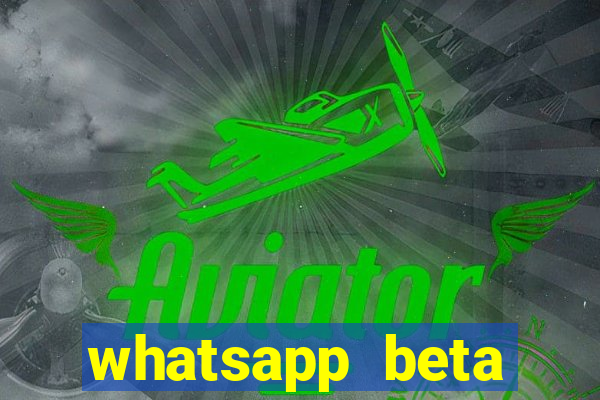 whatsapp beta mirror apk